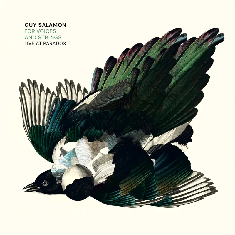 Cover art for For Voices and Strings - Live at Paradox